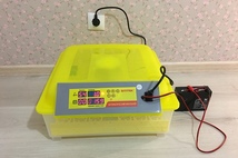 Бытовой инкубатор для 48 куриных яиц с контролем температуры, влажности и автоматическим переворотом SITITEK 48